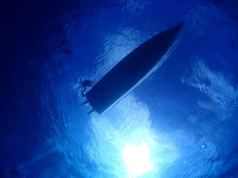 2 Tank Morning Cozumel Dives for Certified Divers - Final Thoughts: Is It Worth It?