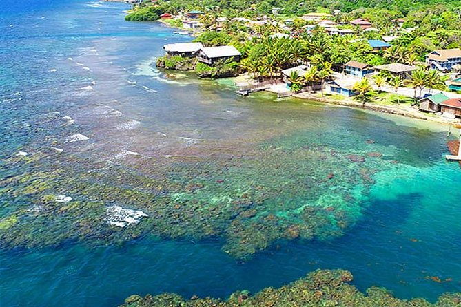 2-tank-roatan-fun-dive-boat-sightseeing-tour-including-ground-transportation