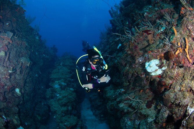 2-tank-scuba-boat-trip-in-world-class-sites-copamarina