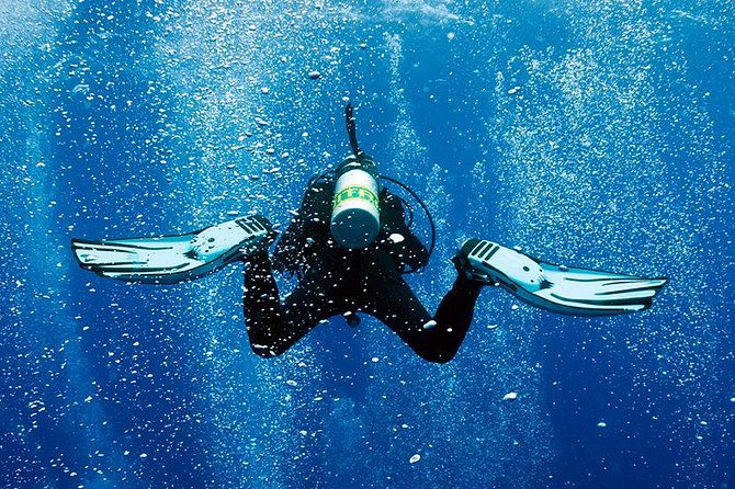 2-tank-shore-dive-at-sea-turtle-cove