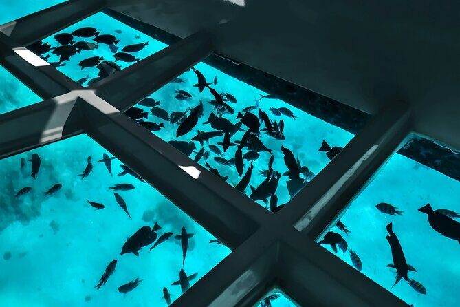 2 To 5 Hours Glass Bottom Boat Private Tour At Read Sea - The Sum Up