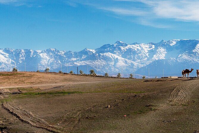 2 Two Days Mount Toubkal Trek from and back to Marrakesh - The Summit Day: Reaching the Top of North Africa