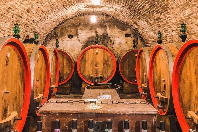 2-wineries-chianti-wine-tasting-vineyards-walk-private-tour