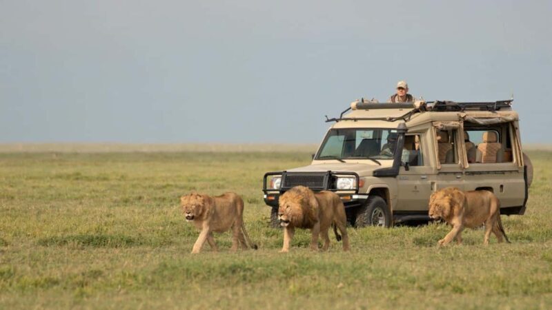 20 Days Kenya & Tanzania Ultimate Safari with Zanzibar Beach - FAQ