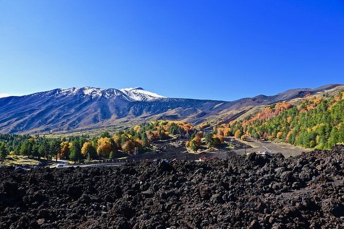 2002-crater-excursion-northern-etna