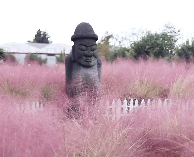 2025 Jeju Autumn Tour with Pink Muhly Festival Hotel pickup - A Beautiful Day on Jeju: What You Can Expect