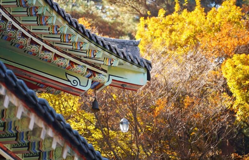 2025 Jeju Autumn Tour with Pink Muhly Festival Hotel pickup - Final Thoughts