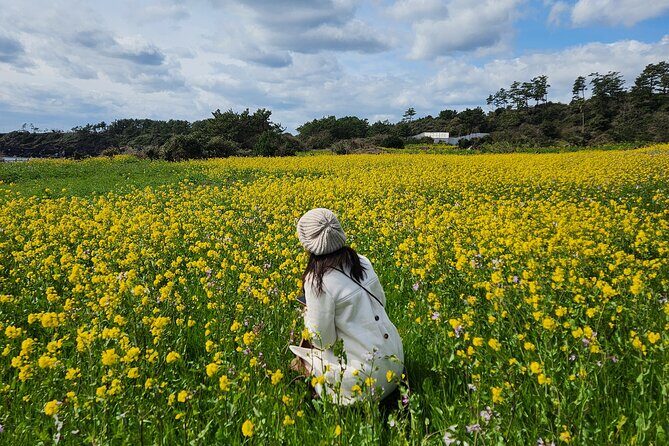2025 JEJU Cherry Blossom West&South Full Day Tour with UNESCO - Final Thoughts
