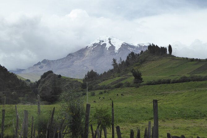 21-day-ecuador-tour-in-andean-jungle-and-cloud-forest