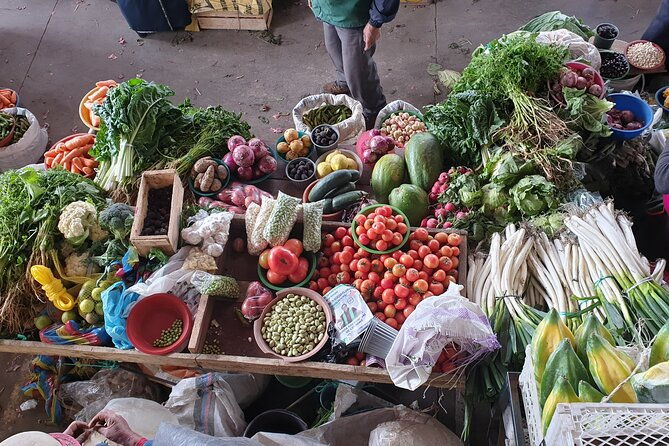 21-day-ecuador-tour-in-andean-jungle-and-cloud-forest