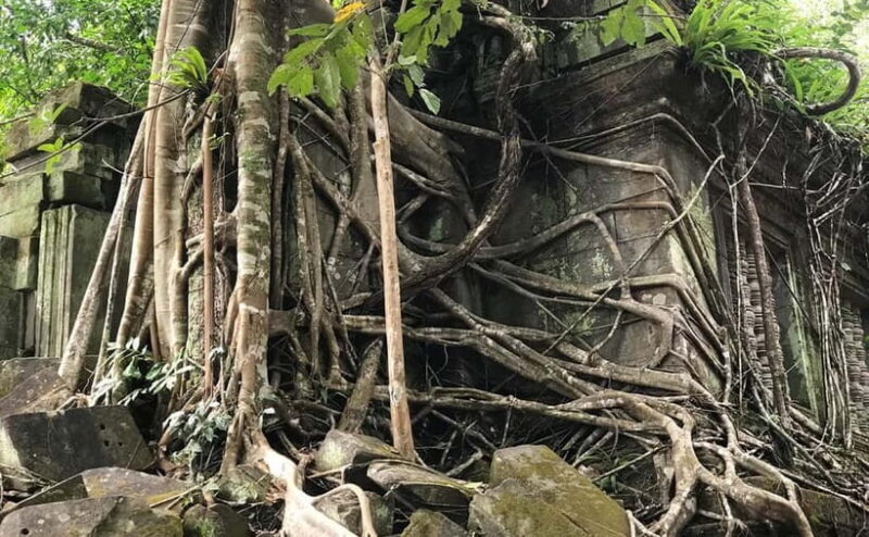 24-Day Cambodia Discovery: From Temple & Wildlife to Beaches - Practical Details and Considerations