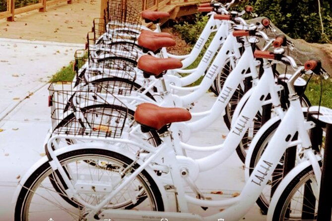 24-speed-hybrid-road-bike-rental
