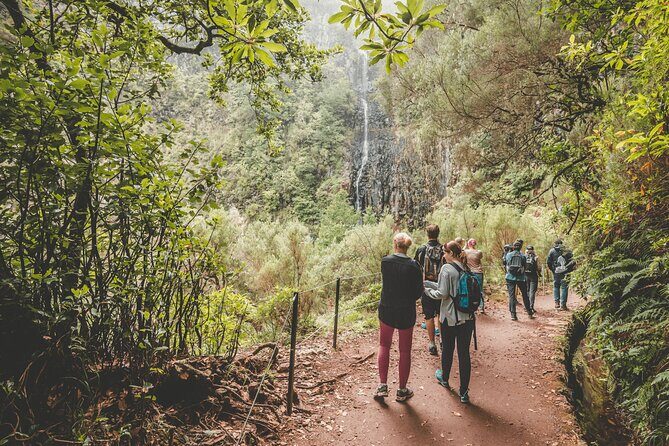25 Fountains Levada: Hiking Tour in Madeira Rabaçal Valley (PR6) - Pricing and Value