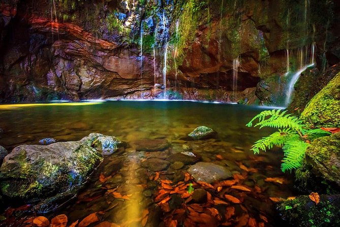 25-fountains-walk-lost-in-the-beautiful-forest