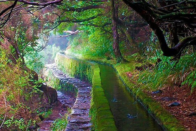 25-fountains-walk-lost-in-the-beautiful-forest