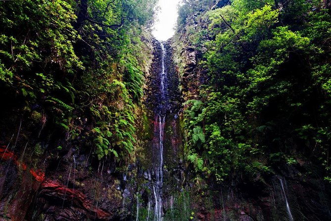 25-fountains-walk-lost-in-the-beautiful-forest