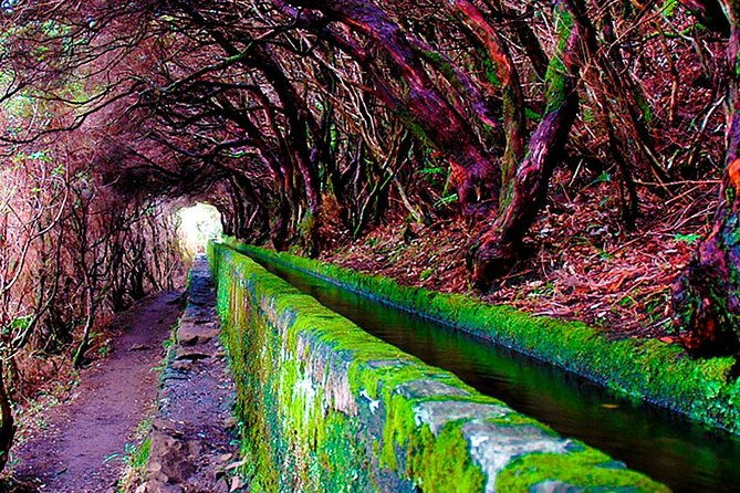 25-fountains-walk-lost-in-the-beautiful-forest