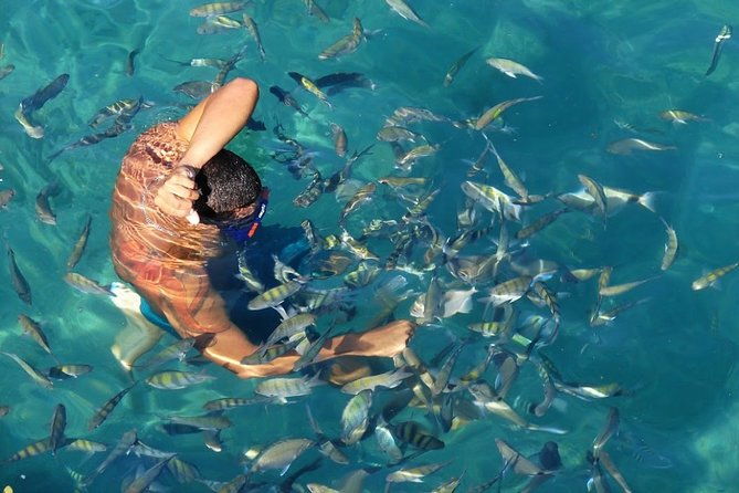 25-full-day-tour-to-angra-dos-reis-and-ilha-grande