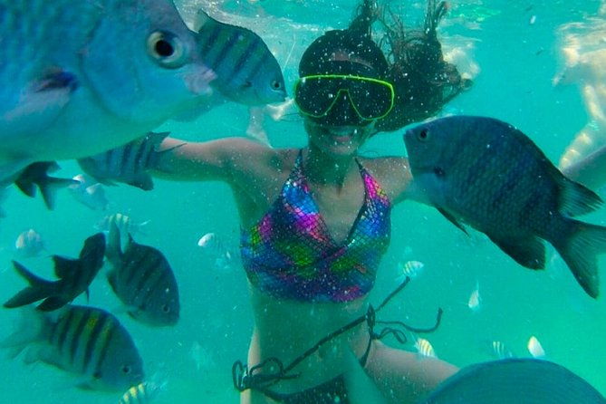 25-full-day-tour-to-angra-dos-reis-and-ilha-grande