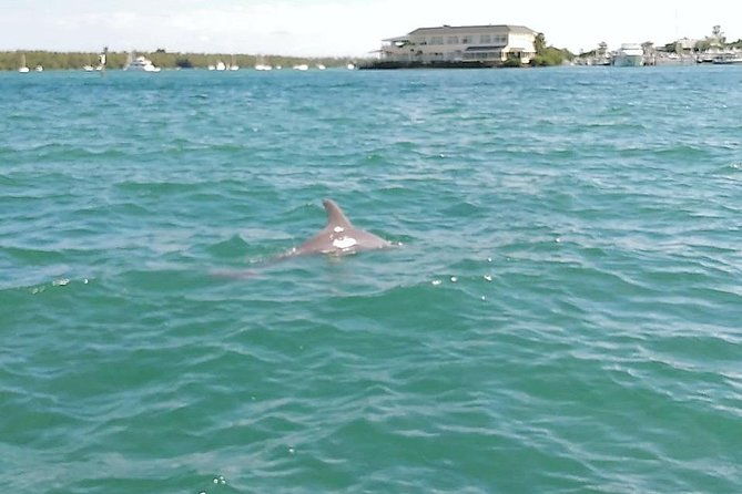 26-ft-boat-miami-bay-tour-for-2-or-4-hours-10-people