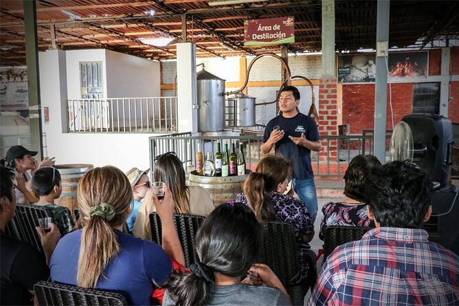 2d-1n-tour-flight-to-the-nazca-paracas-and-huacachina-lines