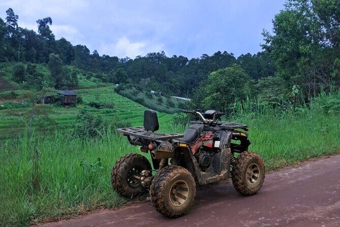 2D1N: ATV Ride, Elephant Sanctuary, Overnight in Stylish Dome - Who Would Enjoy This Tour?