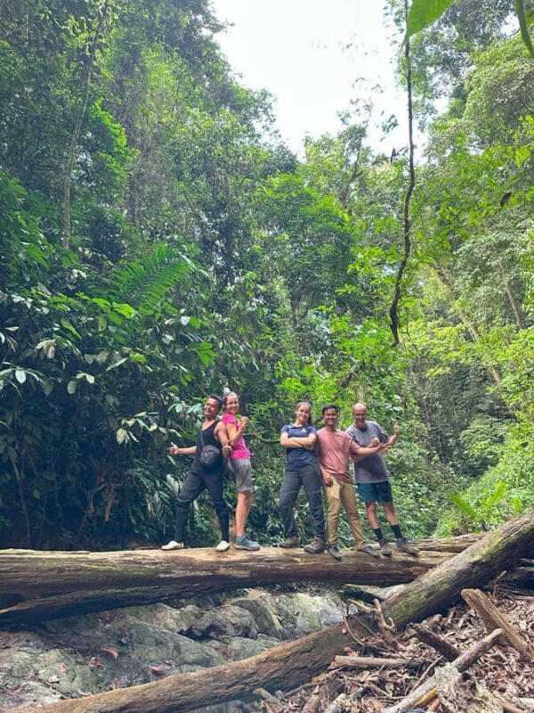 2D1N Ethical Jungle Trekking with Orangutans in Bukit Lawang - Exploring the Rainforest of Gunung Leuser National Park