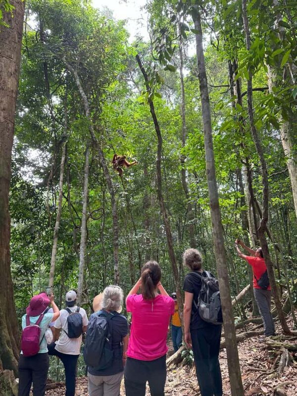 2D1N Ethical Jungle Trekking with Orangutans in Bukit Lawang - The River Tubing Return