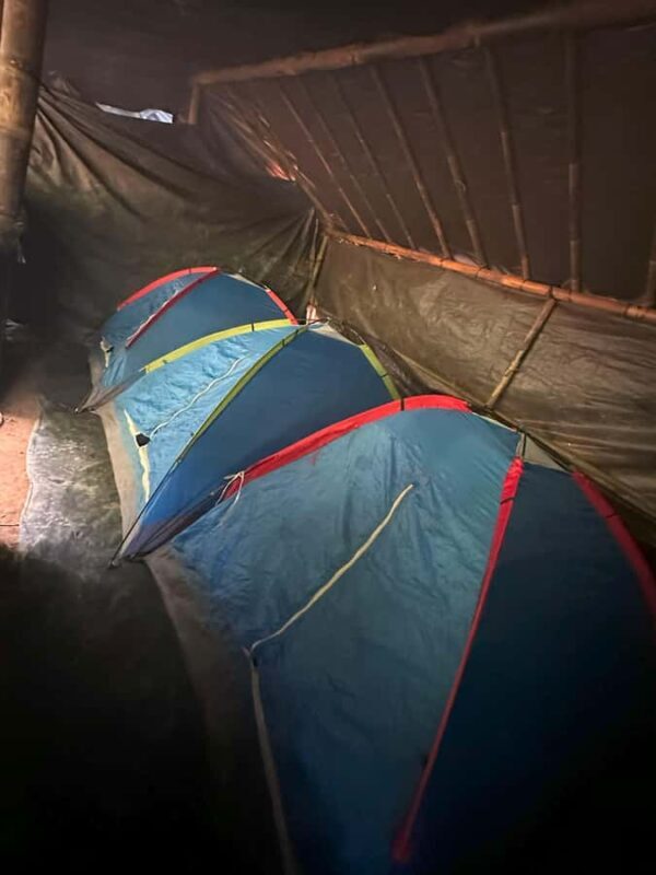 2D1N Ethical Jungle Trekking with Orangutans in Bukit Lawang - The Sum Up