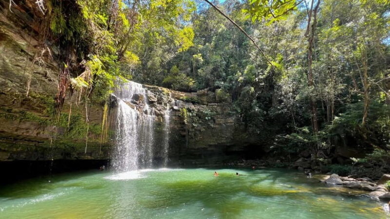 2D1N Jungle Hike to 2 Waterfall with a 4x4 Journey - What to Expect from the Jungle Hike and Waterfalls Tour