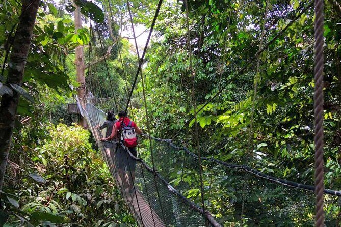 2d1n Kinabalu Park & Poring Canopy Walk & Desa Cow Farm Tour - Final Thoughts