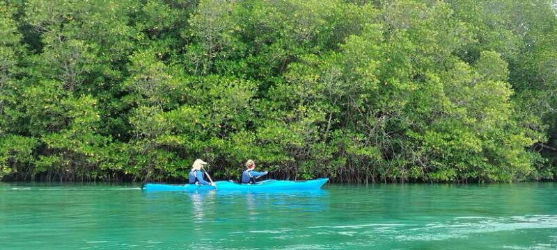 2d1n-komodo-kayak-tour