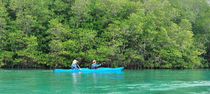 2d1n-komodo-kayak-tour