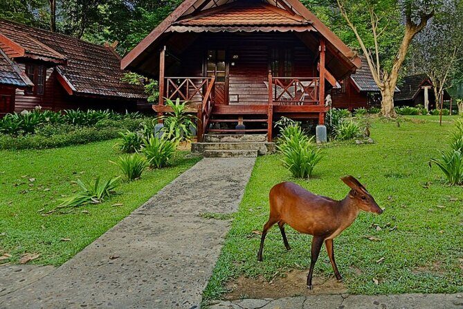 2D1N Taman Negara Rainforest Tour and Boat Ride - Key Points