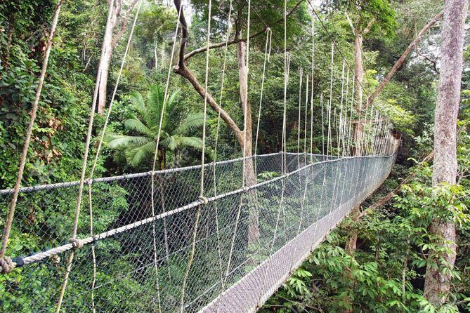 2D1N Taman Negara Rainforest Tour and Boat Ride - FAQs
