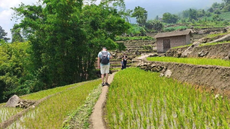 2D1N Trek: Ta Van & Lao Chai Rice Terrace Trails - Who Should Consider This Tour?