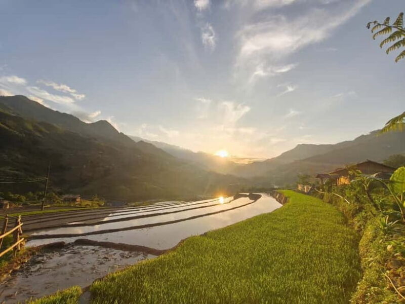 2D1N Trek: Ta Van & Lao Chai Rice Terrace Trails - FAQs