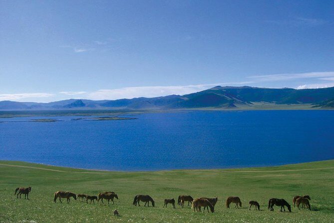 2D,1N Two National Parks Khustai, Terelj and Ginggis Statue Mongolia - Day Two: Cultural and Natural Highlights