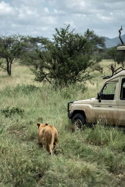 2day budget safari to Tarangire & Lake Manyara National Park - A Closer Look at the 2-Day Safari Experience