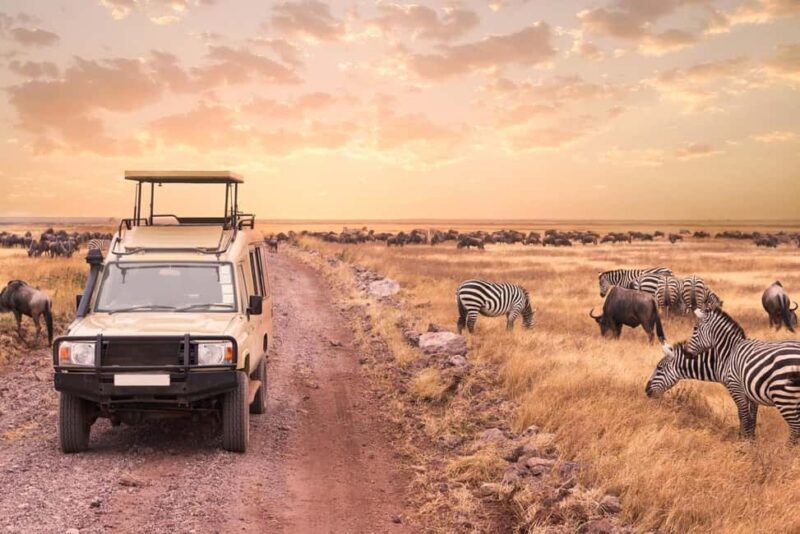 2day luxury safari at Solio Ranch in a 4x4 Land Cruiser Jeep - Detailed Breakdown of the Itinerary