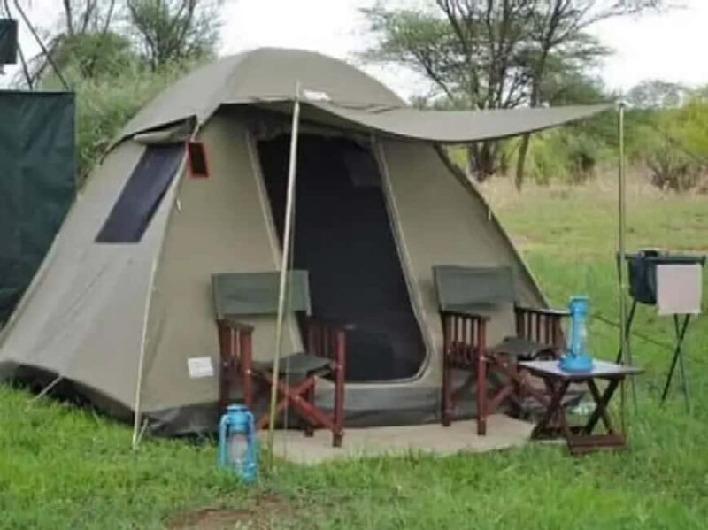 2Day Safari Tarangire and Ngorongoro Crater Join Group - The Sum Up  