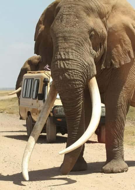 2Day Safari Tarangire and Ngorongoro Crater Join Group - FAQ