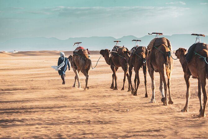 2day Shared tour to zagora desert via Atlas mountains - Key Points