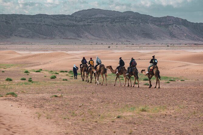 2day Shared tour to zagora desert via Atlas mountains - The Itinerary in Detail