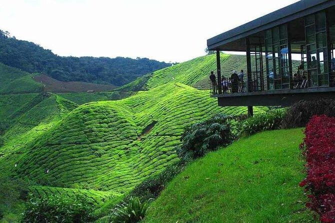 2Days 1Night Cameron Highland and Penang Island Private Tour from Kuala Lumpur - Key Points