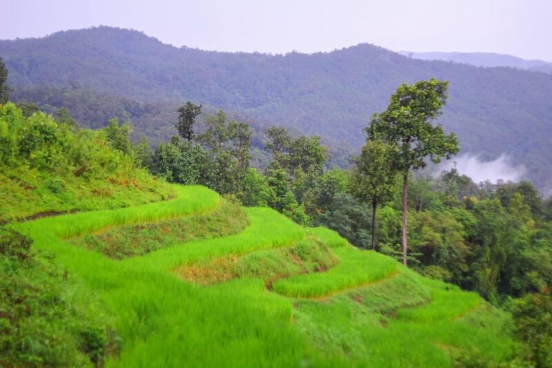 2days-1night-trekking-with-karen-people-and-doi-inthanon