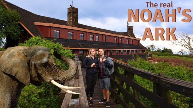 2Days Aberdares National Park Safari Package - Day 2 — Wildlife and Return Journey