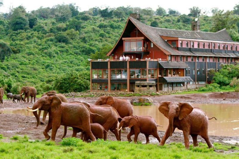 2Days Aberdares National Park Safari Package - Transport and Comfort: What to Expect?