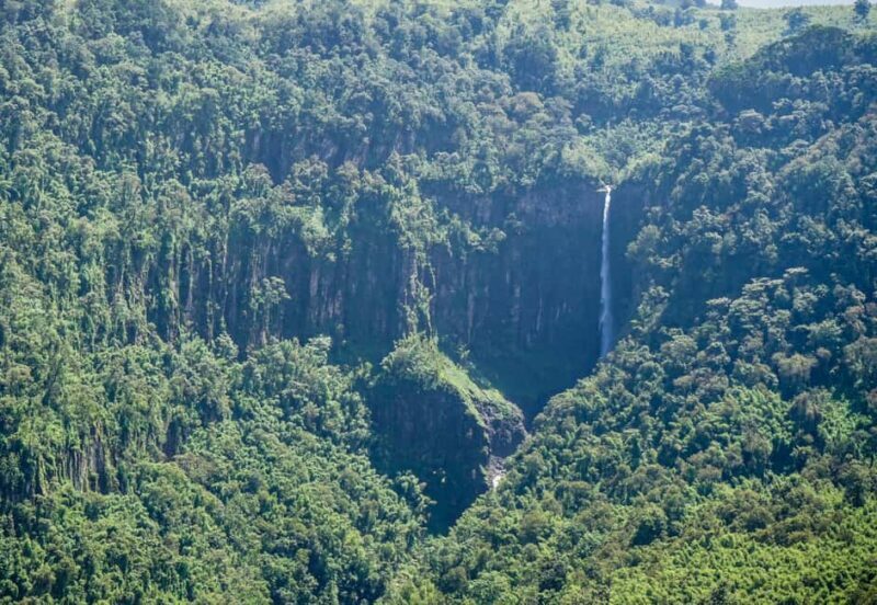 2Days Aberdares National Park Safari Package - The Sum Up: Who Should Consider This Safari?