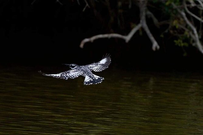 2days Bwindi NP gorilla trekking - Final Thoughts: Is It Worth It?